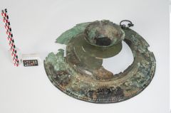 Foto von Bronzebreitrandfußschale (NHMW-PRAE-024138)